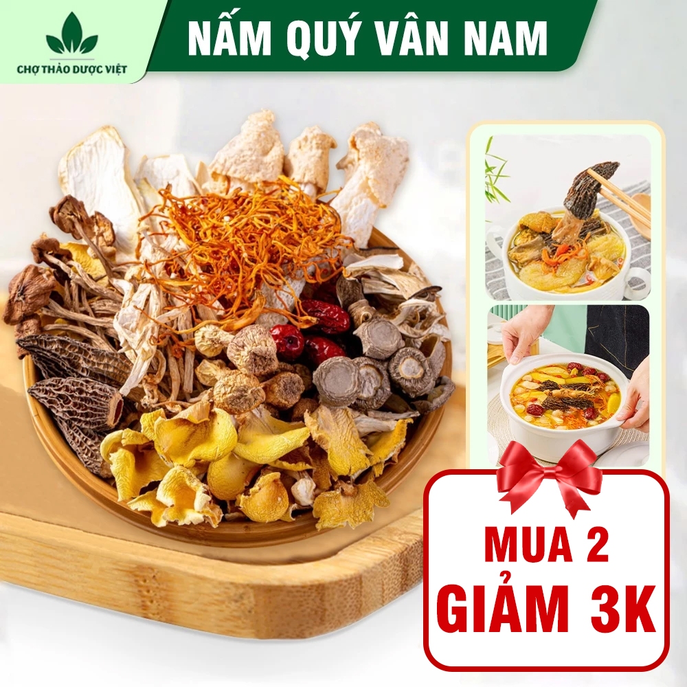 Nấm quý Vân Nam 20 loại tự chọn, nấm nấu canh, lẩu, hầm chim, tần gà tùy chọn - Chợ Thảo Dược Việt