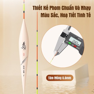 Phao Câu Đài Định Kiếm CZ Phao Câu Nano Cao Cấp Chuyên Chép Độ Nhạy Cao