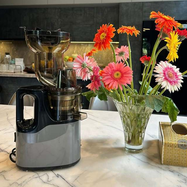 Máy ép chậm nguyên quả CAMEL AZ-201 công suất 200W ép kiệt nước giữ được chất dinh dưỡng