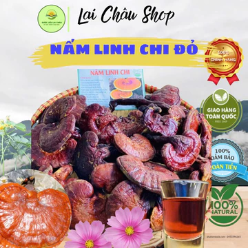 Trà nấm lim xanh khô hỗ trợ phòng ngừa ung.thư