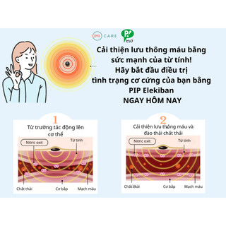 Miếng Dán Giảm Đau Mỏi, Thoái Hóa, Cứng Cơ Vai Gáy, Lưng, Chân Từ Tính PIP ELEKIBAN MAX 200MT Nhật Bản (12~48 Miếng)