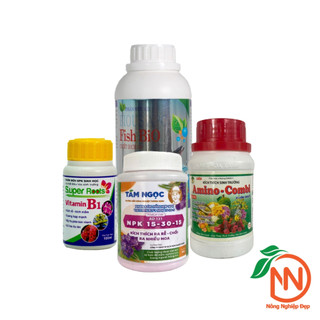 Combo Chăm sóc Hoa Hồng Để Cho Hoa Liên Tục Không Ngừng