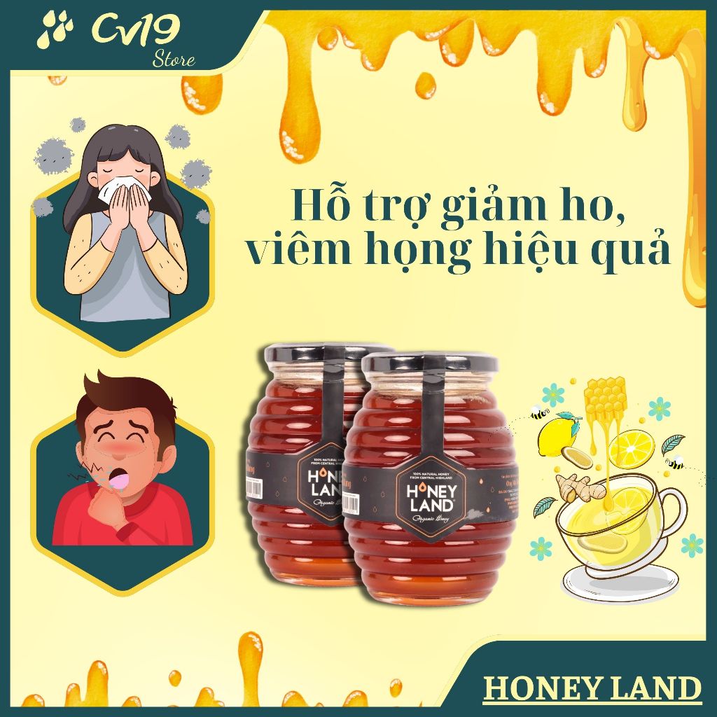 [GIÁ TỐT] Bộ 3 hủ mật ong hoa rừng Honey Land 500g tặng 1 Chai mật ong Điện Biên 380g