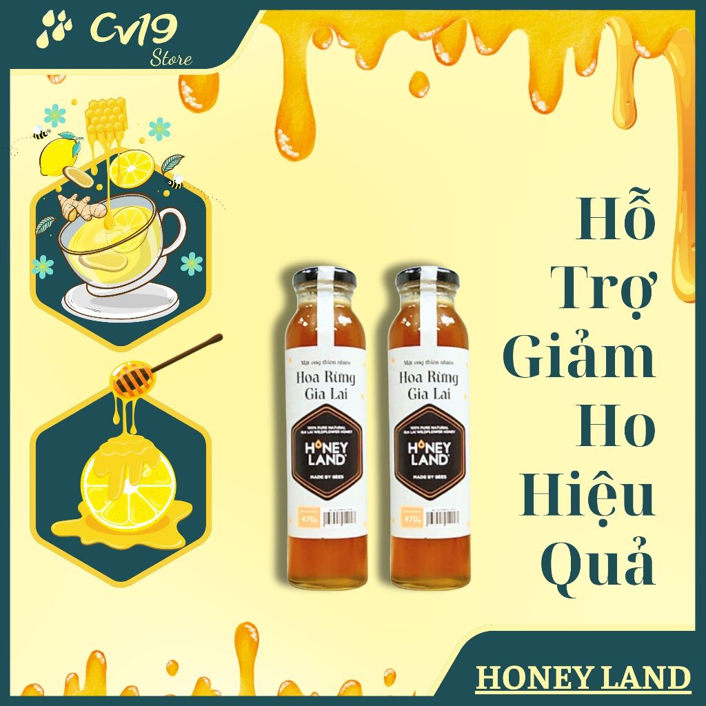 [SIÊU RẺ] HONEY LAND - Bộ 5 Chai mật Gia Lai 470g + 3 Hủ mật hoa rừng 250g + 3 Lon cá sốt cà 155g
