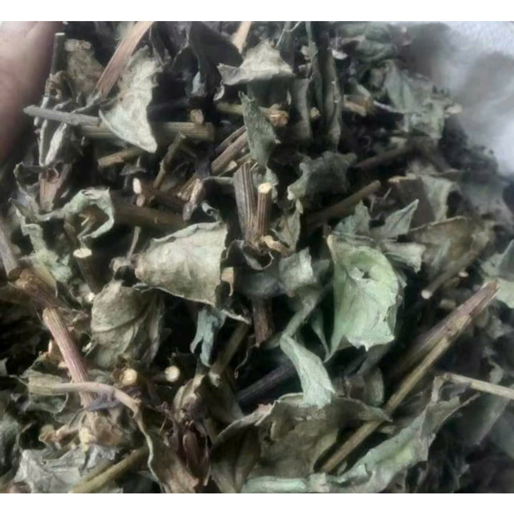 Rau Bầu Đất khô thượng hạng JINDO hỗ trợ viêm bàng quang, khí hư, bạch đới, kinh nguyệt không đều rất tốt cho phụ nữ