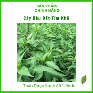 Rau Bầu Đất khô thượng hạng JINDO hỗ trợ viêm bàng quang, khí hư, bạch đới, kinh nguyệt không đều rất tốt cho phụ nữ