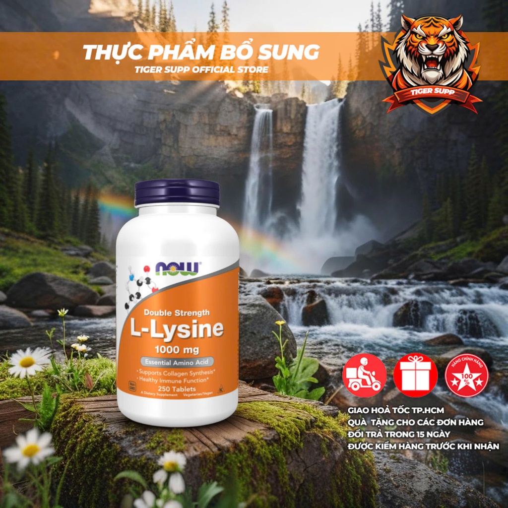 Now L-Lysine Supports Collagen Synthensis & Healthy Immune Function - Viên uống hỗ trợ miễn dịch, tăng sinh collagen