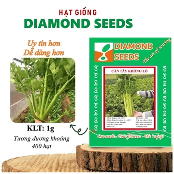 Hạt Giống Cần Tây Khổng Lồ Hạt giống Cần Tây Mỹ, Cần Tây Ép Nước Siêu Năng Suất,Siêu Dễ Trồng - GÓI HÃNG UY TÍN