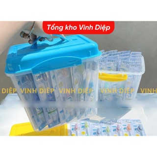 Combo 1 Hộp Nhựa 45 Chiếc Bàn Chải Đánh Răng Hàn Quốc Cực Mền Chống Ê Buốt