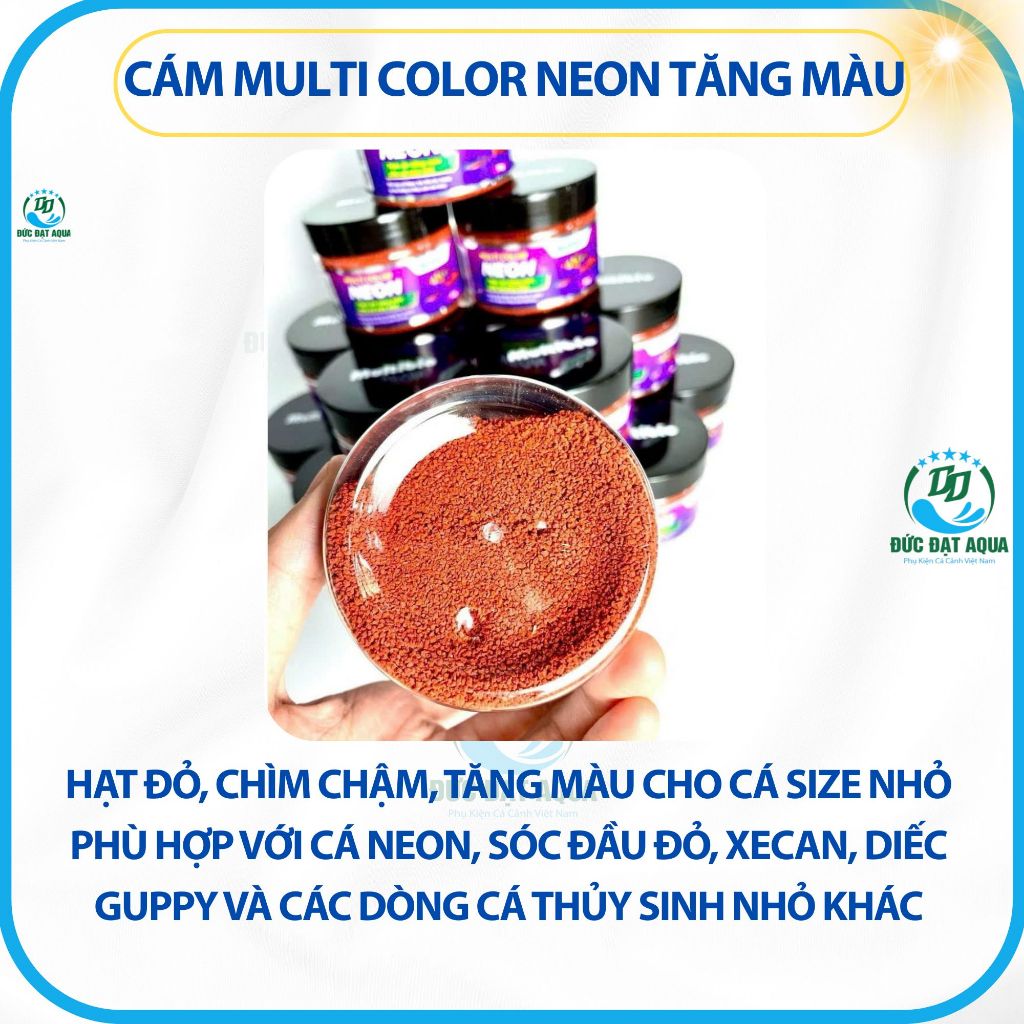 Cám Multi Color NEON, Sóc đầu đỏ, Cánh buồm, Diếc đỏ, các dòng size nhỏ khác 9