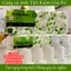 Giấy vệ sinh TEDDY BEAR ECO GREEN Tiết Kiệm hoa văn đập nổi tinh tế mềm mại tan trong nước