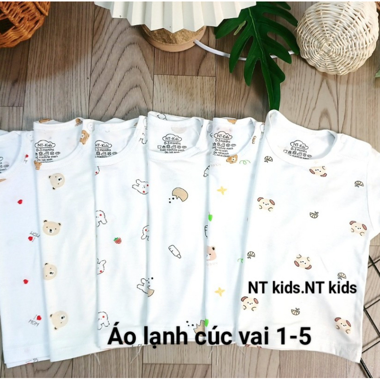 Áo cộc thun lạnh chất pettit thoáng mát vải co giãn đa chiều cho mùa nắng nóng hàng đẹp Saubabi
