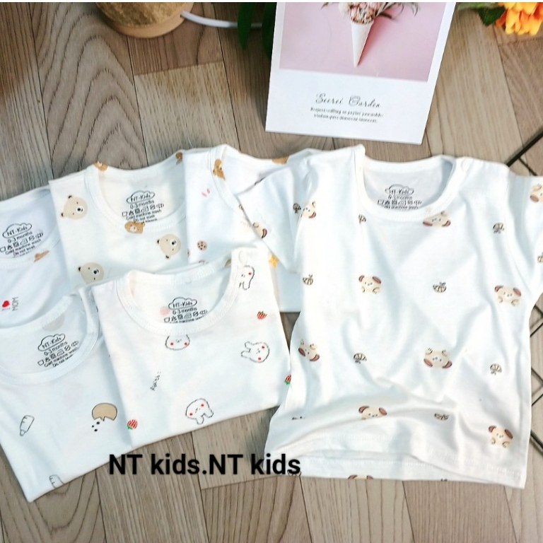 Áo cộc thun lạnh chất pettit thoáng mát vải co giãn đa chiều cho mùa nắng nóng hàng đẹp Saubabi