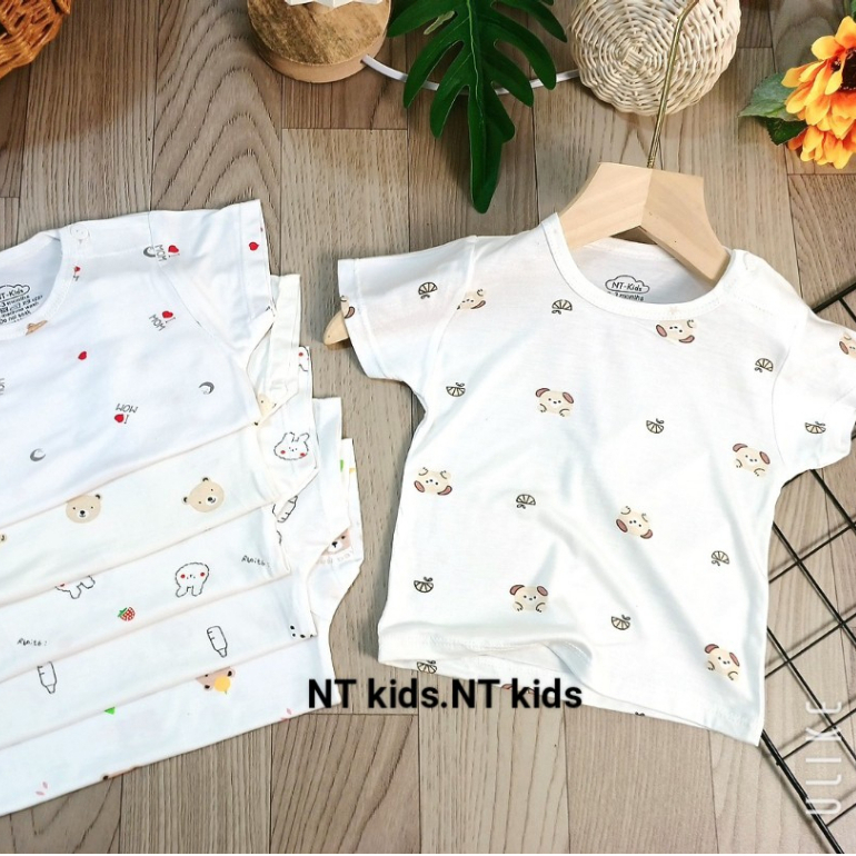 Áo cộc thun lạnh chất pettit thoáng mát vải co giãn đa chiều cho mùa nắng nóng hàng đẹp Saubabi