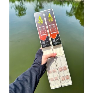 Thẻo Câu Đài Định Kiếm Hộp 20 Bộ Thẻo Buộc Sẵn Lưỡi Vàng Hồng Cao Cấp Chuyên Rô Diếc Chép