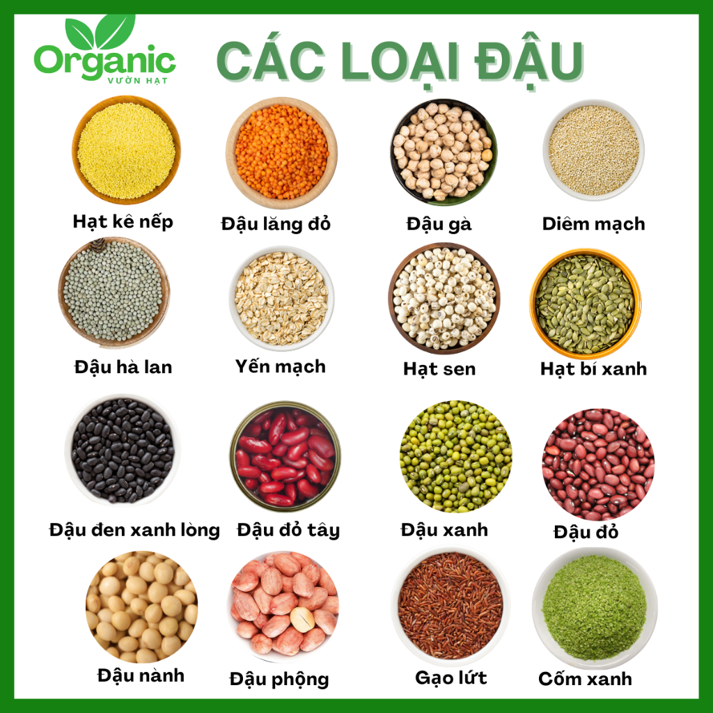 Hạt Ăn Dặm, Nấu Sữa Cho Bé Vườn Hạt Organic Cao Cấp Chất Lượng