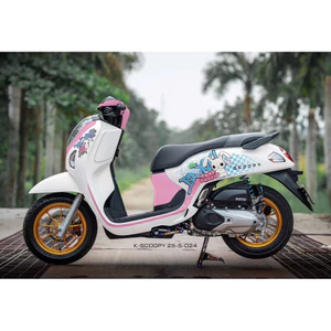 Tem Scoopy 2025