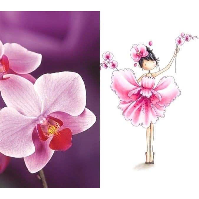 Bộ 14 tranh tô màu FLOWER BABY  khác nhau không trùng lặp cho bạn thỏa sức sáng tạo