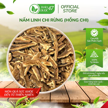 1KG Nấm Linh Chi Rừng (Hồng Chi) Nguyên Chất, Tăng Cường Sức Khỏe, Bồi Bổ Cơ Thể | Thảo Dược 47