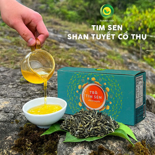 [TRÀ QUÝ] Trà Tim Sen Shan Tuyết Hà Giang Sunbeleaf - Giảm Căng Thẳng, Giúp Ngủ Ngon