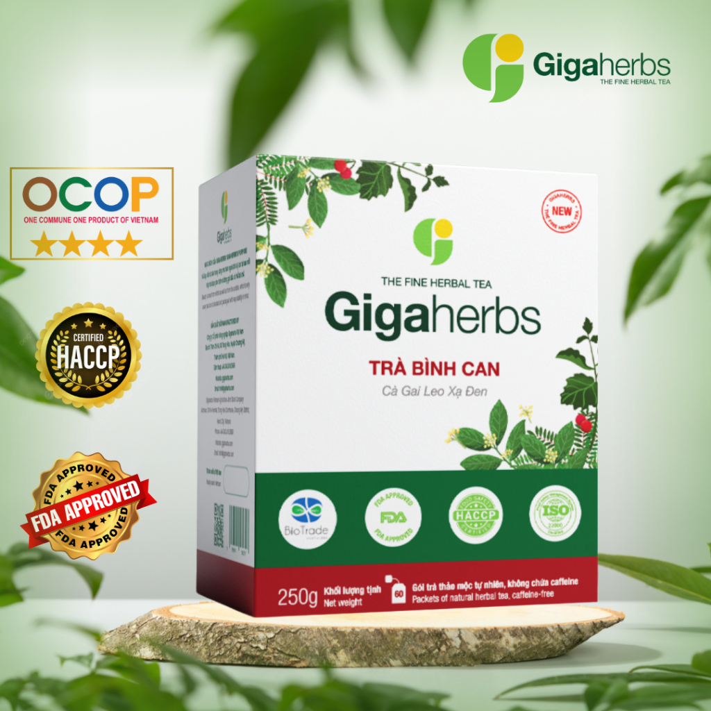 Trà Bình Can -  Cà gai leo xạ đen Gigaherbs hộp 250g thanh nhiệt thải độc bảo vệ lá gan