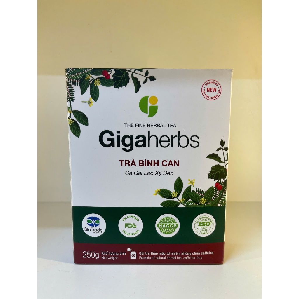 Trà Bình Can -  Cà gai leo xạ đen Gigaherbs hộp 250g thanh nhiệt thải độc bảo vệ lá gan