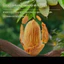 Hạt Hạnh Nhân Bóc Vỏ Three Squirrels. Chuẩn Hãng 3 Con Sóc