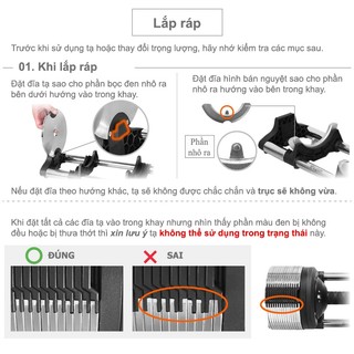 Tạ Tay Điều Chỉnh LYSIN 40kg (bộ 80kg) –Tăng Giảm 1kg,Tay Cầm Cao Su Bảo Vệ Tay, Bền Bỉ Chuẩn Nhật, tập gym, cơ tại nhà