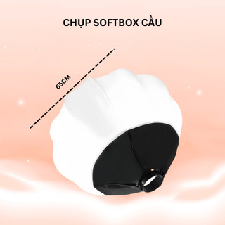 Chụp Softbox Tản Sáng Đèn Livestream Studio | Loại Softbox Cầu, Vuông 60x90, Tổ Ong | Phụ Kiện Thay Thế Cho Đèn Softbox