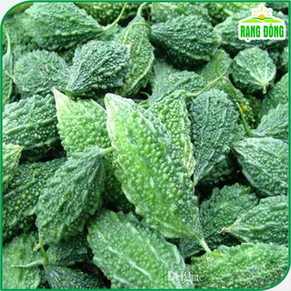 Hạt giống Khổ Qua Rừng Rado 52 - Gói 1g