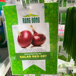 Hạt giống hành tây đỏ SALAD RED 027 (Hành tím) dễ trồng, màu sắc đẹp mắt - Gói 2g