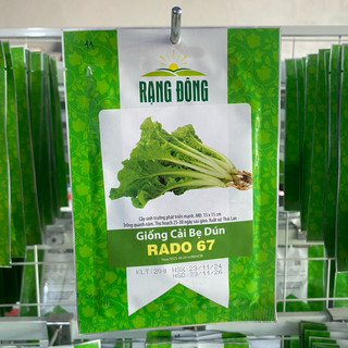 Hạt  giống Cải bẹ dún Rado 67 siêu năng suất và giàu dinh dưỡng - Gói 20g