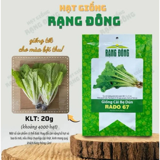 Hạt  giống Cải bẹ dún Rado 67 siêu năng suất và giàu dinh dưỡng - Gói 20g