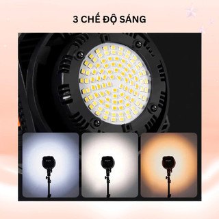 Cụm đèn chiếu sáng Softbox – Đầu đèn Berio & SY700 phụ kiện thay thế cho đèn Softbox quay video, studio