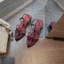 SANDAL DÂY MŨI NHỌN NƠ XINH GÓT 5P