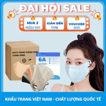 Thùng 100/200 Cái Khẩu Trang 6A THÀNH PHÁT 4 Lớp Than Hoạt Tính, Lọc Bụi Mịn, Chống UV