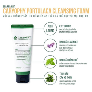 (Hàng Công TY) Sữa Rửa Mặt Caryophy Portulaca Cleansing Foam Ngăn Ngừa Mụn Giảm Thâm 150ml Duduhouse