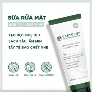 (Hàng Công TY) Sữa Rửa Mặt Caryophy Portulaca Cleansing Foam Ngăn Ngừa Mụn Giảm Thâm 150ml Duduhouse
