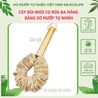 Cây Bùi Nhùi Cọ Rửa Đa Năng Bằng Xơ Mướp Tự Nhiên KB Ecolife  Làm Sạch Không Gây Trầy Xước
