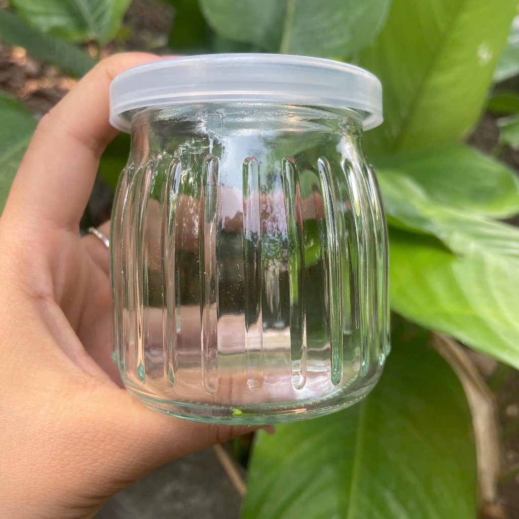 Combo 12 Hũ sữa chua thủy tinh dáng sọc 100ml 200ml