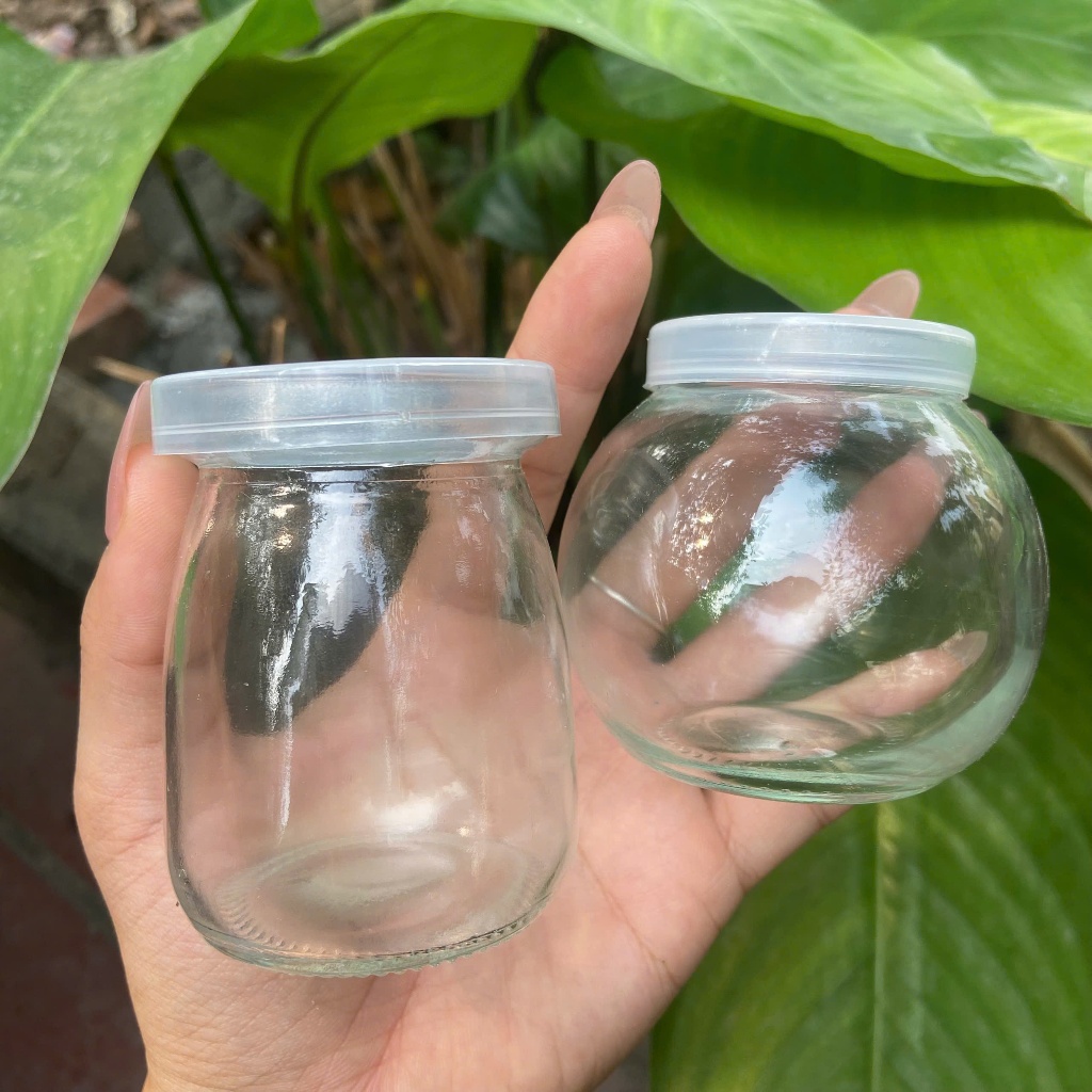 Combo 12 hũ sữa chua thủy tinh tròn béo 100ml 200ml
