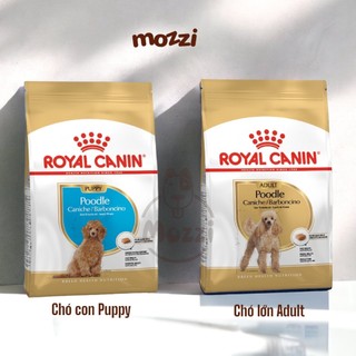 [7.5kg] Thức ăn hạt Royal canin Poodle Adult cho chó lông xoăn