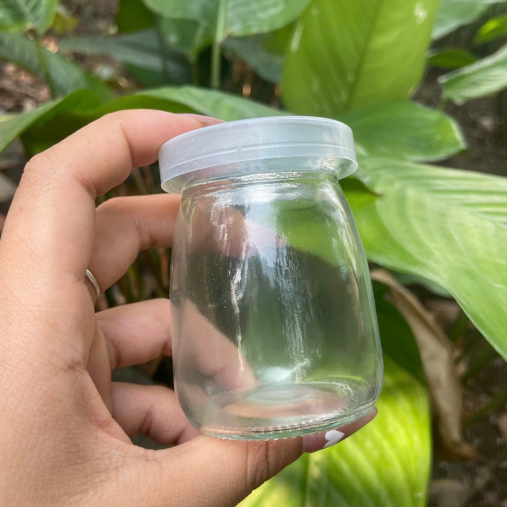 Combo 12 Hũ sữa chua thủy tinh truyền thống 100ml 120ml
