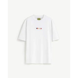 Áo thun tay ngắn nam Scafe thêu Form Boxy - RT 10S25TSS054