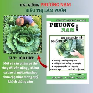 100 Hạt - Hạt Gióng Bắp Cải Khổng Lồ Phương Nam