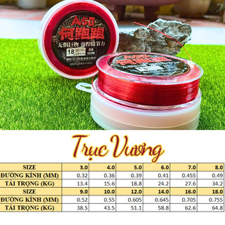 TRỤC VƯƠNG 100M - ĐÀI CÂU THÍCH