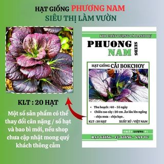 200 Hạt - Hạt Giống Cải Bok Choy Tím / Trắng Phương Nam
