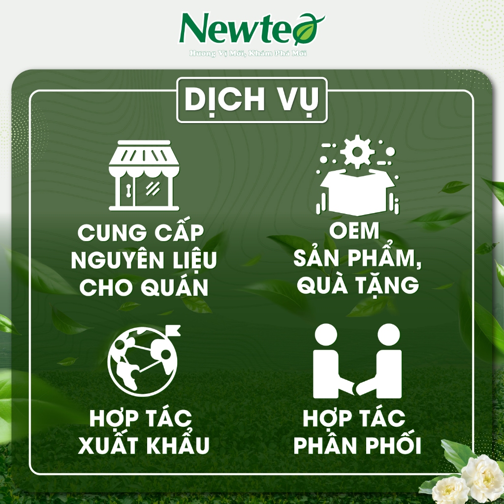 Bộ Bộ - Combo 5 Gói Trà Xanh Lài Ngọc Lan Newtea Cao Cấp 25KG Chuyên Pha Trà Tắc