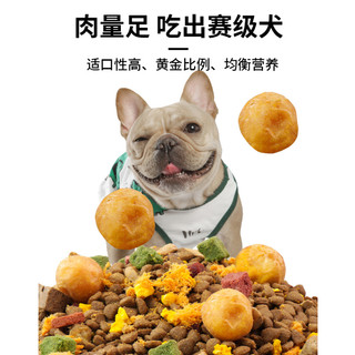 Hạt PANDA Cho Chó Không Độn Ngũ Cốc Đạm 32% Mix 9 Topping Giúp Tăng Cân, mượt lông túi 2,
