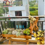 Chậu Gỗ Trồng Cây Dài Trang Trí Ban Công Sân Vườn Có Giá Đỡ, Chậu Trồng Cây Trang Trí Vườn Vintage Độc Đáo — ảnh 7